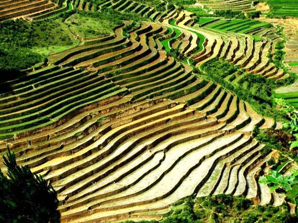 Tourism programme to highlight delights of&nbsp;Mu Cang Chai District