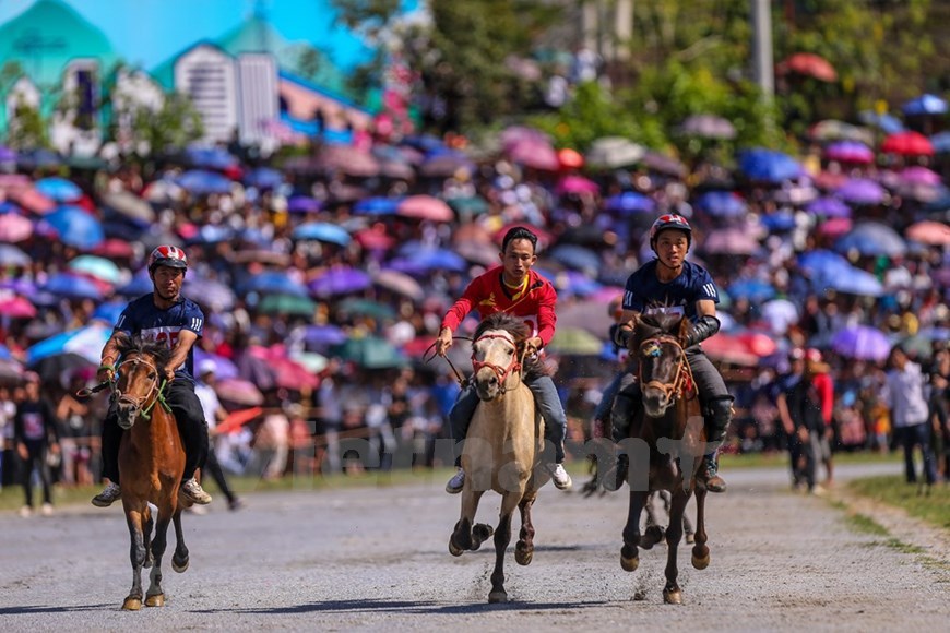 Bac Ha horse race attracts tourists