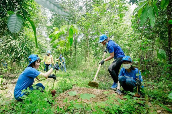 Uniform payment of forest environmental services needed: experts
