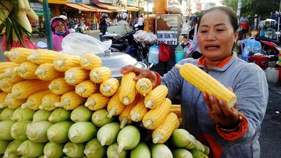 Xe bắp luộc bán gần 1.000 trái mỗi ngày được nhiều Việt kiều biết đến