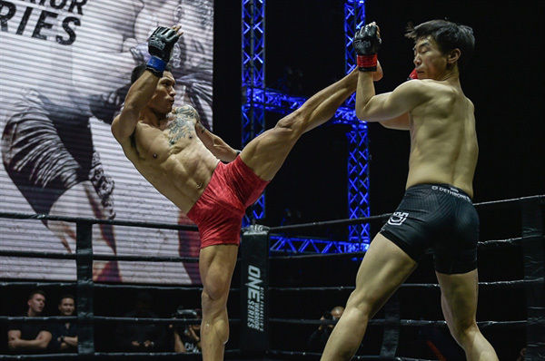 Mixed martial arts has bright future in Vietnam