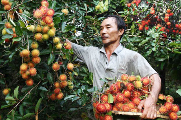 Kinh nghiệm Lâm Sơn: Không chạy theo thành tích mà việc nâng cao đời sống mới là mục tiêu