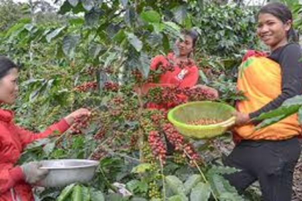 Điểm tựa cho phụ nữ dân tộc xã Măng Cành