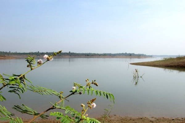 Huyện Cẩm Mỹ: Cuộc sống ổn định nhờ phát triển vùng cá nước ngọt