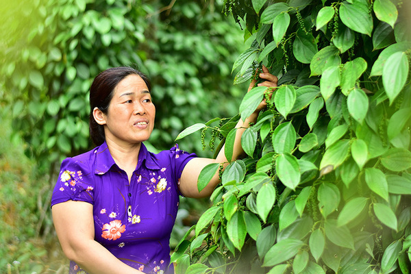 “Tổ phụ nữ tiết kiệm” giúp nhiều hội viên đơn thân thoát nghèo