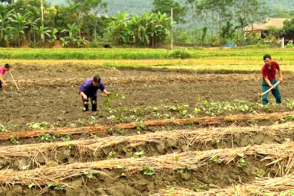 Nà Khương: Hộ nghèo, cận nghèo được tiếp cận các dịch vụ xã hội cơ bản