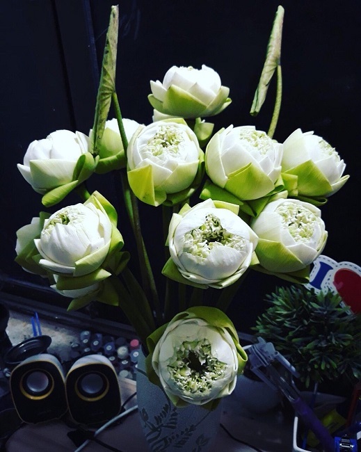 Sen lạ đẹp là một loại hoa với hình dáng độc đáo, được yêu thích bởi sắc trắng tinh khiết và vẻ đẹp của nó. Những hình ảnh về sen lạ đẹp sẽ khiến bạn cảm thấy bình yên và thư giãn, đồng thời kích thích sự sáng tạo của mình.