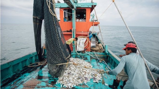 Asia's fishermen and farmers go digital during virus