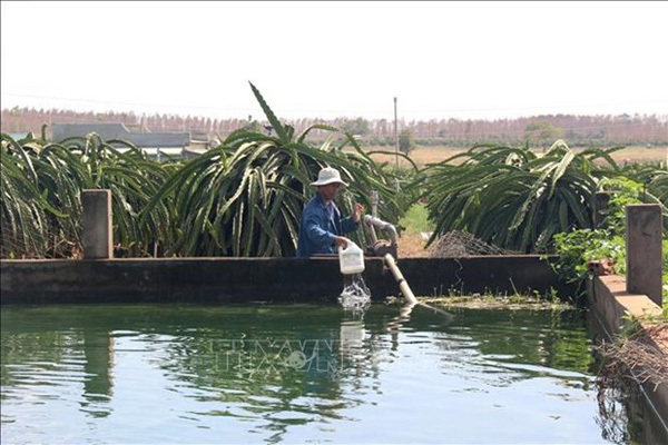 Binh Thuan farmers dig ponds, build small reservoirs to store water