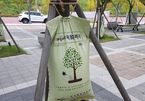 Xem cách Hàn Quốc bảo vệ và chăm sóc cây xanh