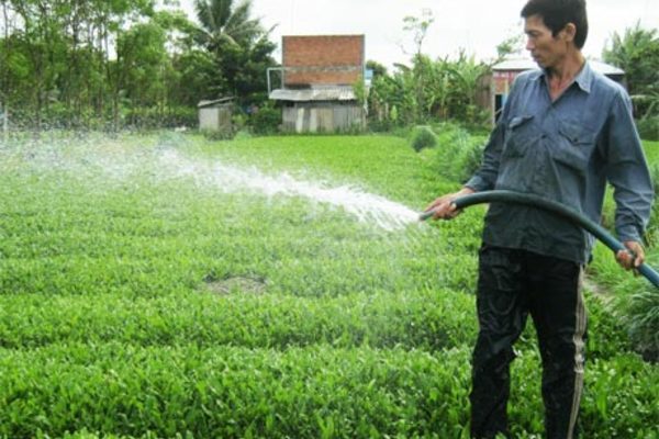 TP. Mỹ Tho: Triển khai từ 2 đến 3 mô hình sinh kế cho hộ nghèo