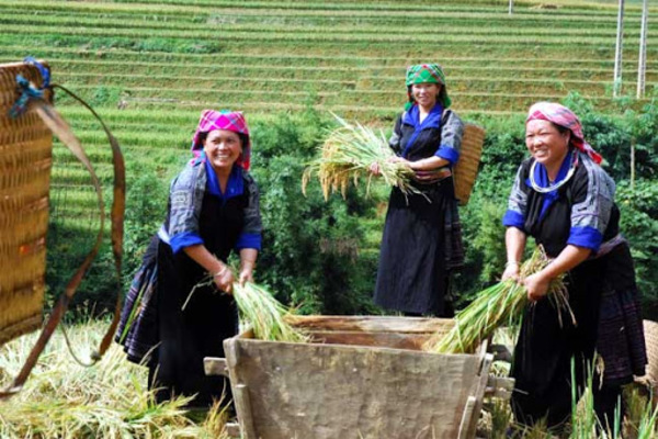 Trạm Tấu: 51 hộ làm đơn đăng ký thoát nghèo