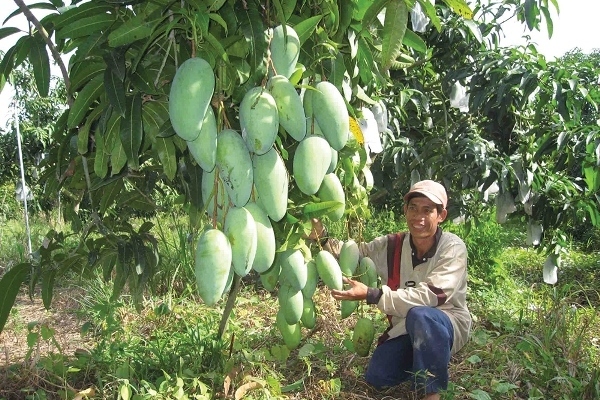 “Chỉ có con đường xuất khẩu thì đời sống nông dân mới được tăng lên”