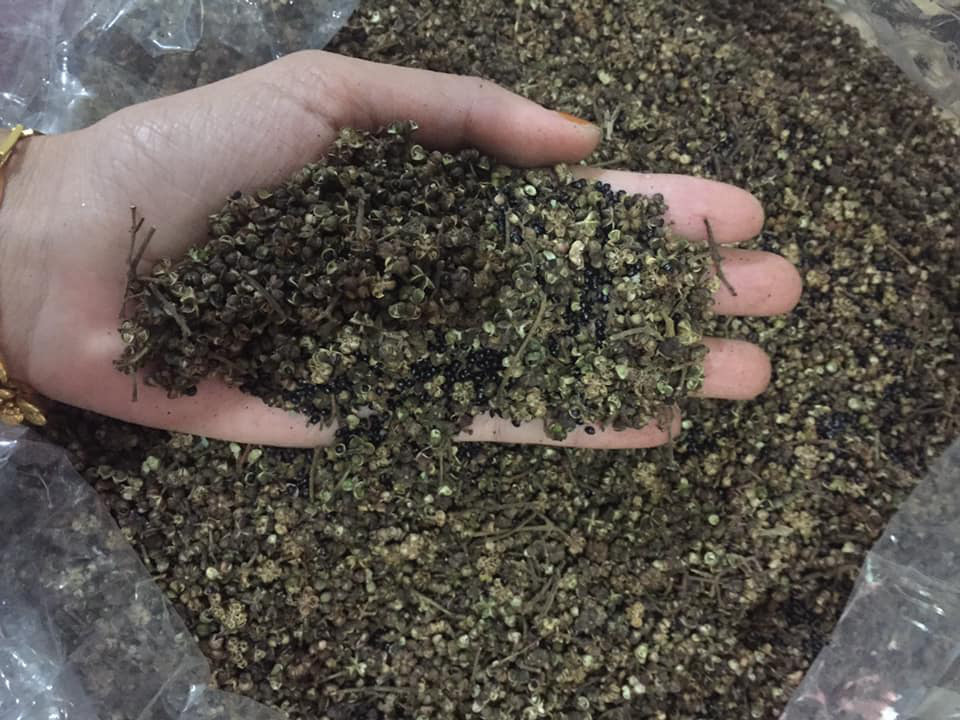 Thứ hạt bé tí mê hoặc những siêu thực khách khó tính nhất trên đất Tây Bắc