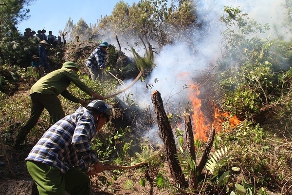 Dự báo thời tiết 7/6, nắng nóng kéo dài, Trung Bộ đề phòng cháy rừng