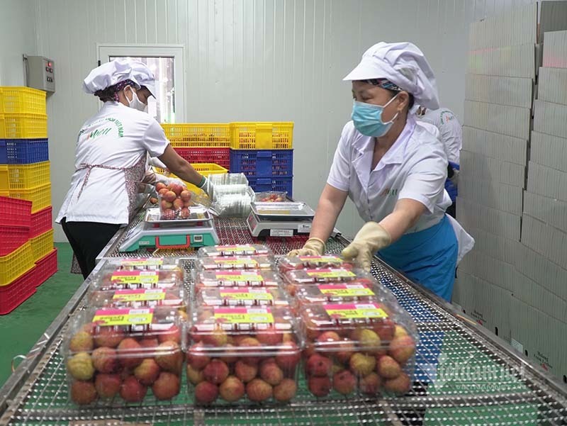 Digital transformation, online export of Vietnamese goods steps up