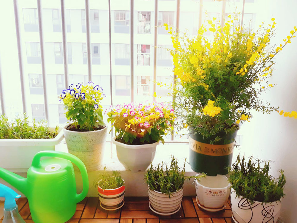 Những vật dụng đơn giản nhất làm mát ngôi nhà ngày nóng