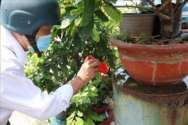 Health ministry raises alarm over dengue fever