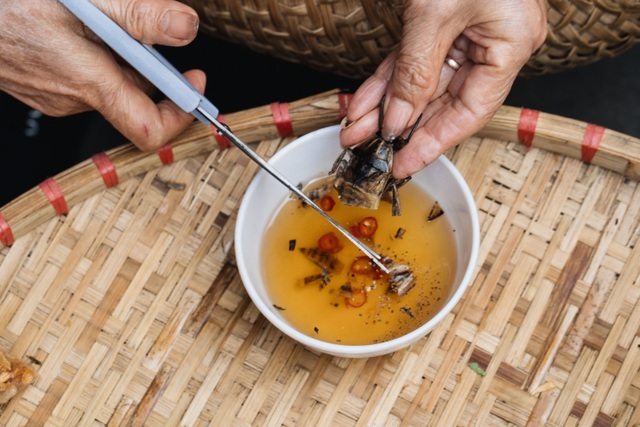 Cà cuống 5 triệu đồng/kg, đại gia lùng mua về ngâm mắm