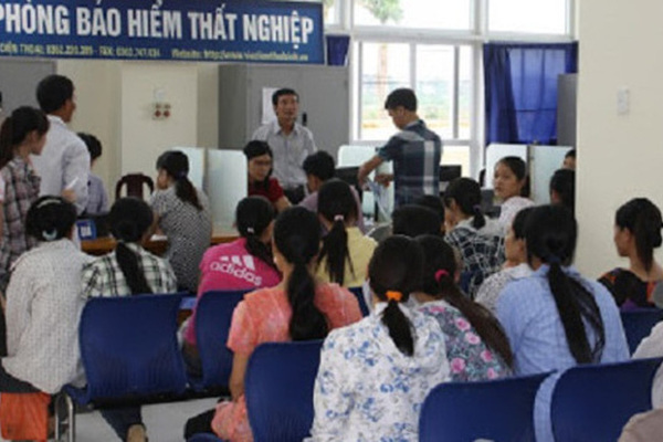 Sở Kế hoạch–Đầu tư sẽ xác minh để người lao động hưởng bảo hiểm thất nghiệp