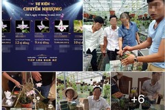 Lan đột biến gene có giá lên tới cả chục tỷ đồng?