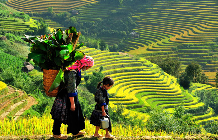 Trên 100 doanh nghiệp bắt tay kích cầu du lịch Tây Bắc