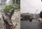 Bão số 1 gây mưa dông lớn ở Sài Gòn, nhánh cây rơi làm người bị thương