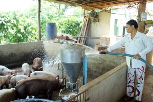 Thoát nghèo nhờ mô hình phụ nữ tiết kiệm