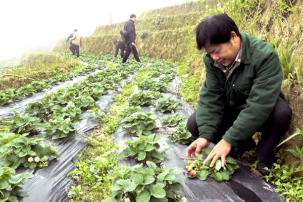 Hoàng Su Phì: Mục tiêu thu nhập bình quân trên 23 triệu đồng trong năm nay