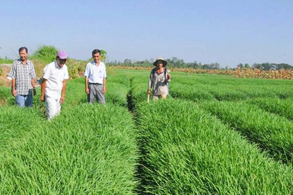 Thạnh Hòa: “Giai đoạn mới, đời sống người dân được nâng cao hơn”