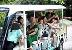 Visitors flock back to HCM City’s oldest garden post Covid-19