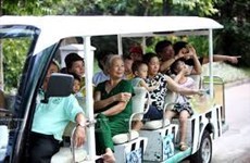 Visitors flock back to HCM City’s oldest garden post Covid-19