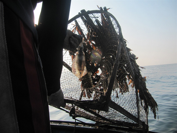 Squid catching off Son Tra with local fisherman