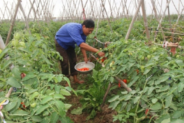 Yên Ninh: Nhiều hoạt động thiết thực giúp người nghèo tự vươn lên