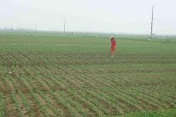 Nam Trực nâng cao thu nhập cho người dân