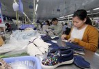 Vietnamese goods entering EU not straightforward under EVFTA