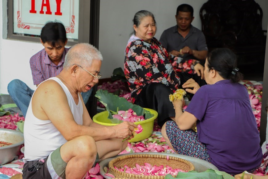 Lotus tea - a special gift from Hanoi