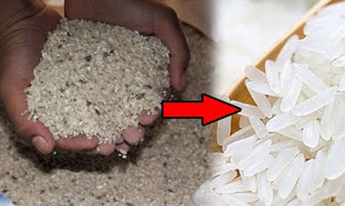Hô biến gạo thường thành loại gạo thơm ngon, giá cao