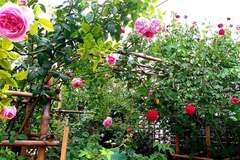 Hiến kế cho nàng dâu khó xử vì mẹ chồng vào nằm ké điều hòa