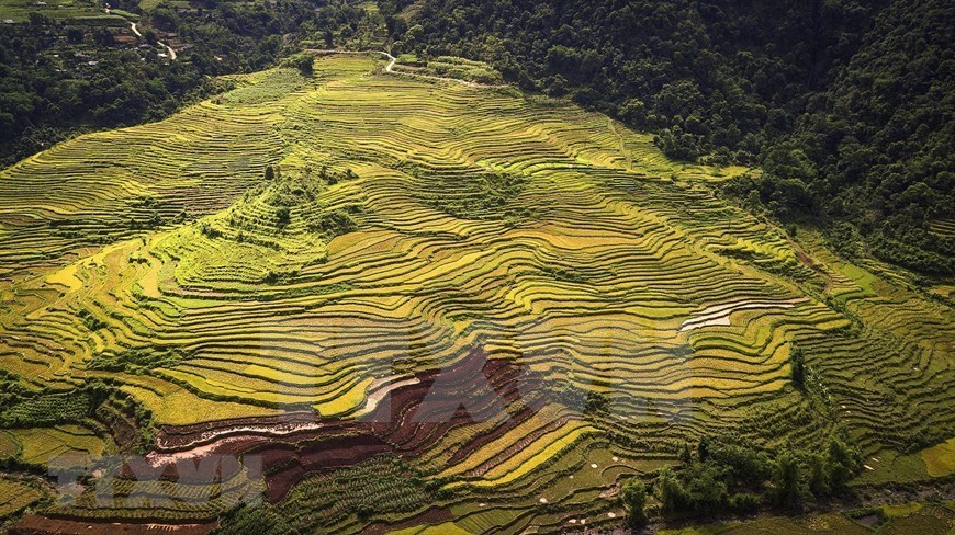 Immense beauty of terraced rice fields in Hoa Binh