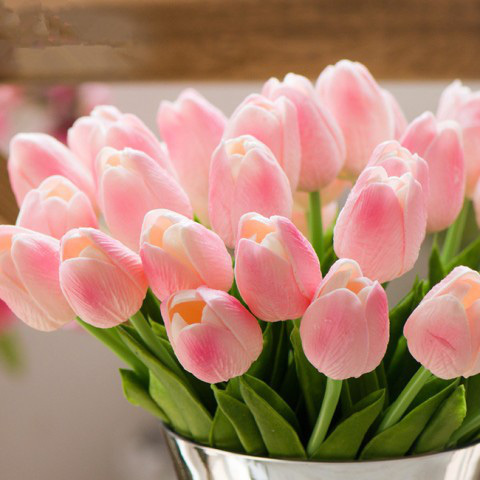 5 loại hoa đẹp đến mấy gia chủ cũng không nên đem vào nhà