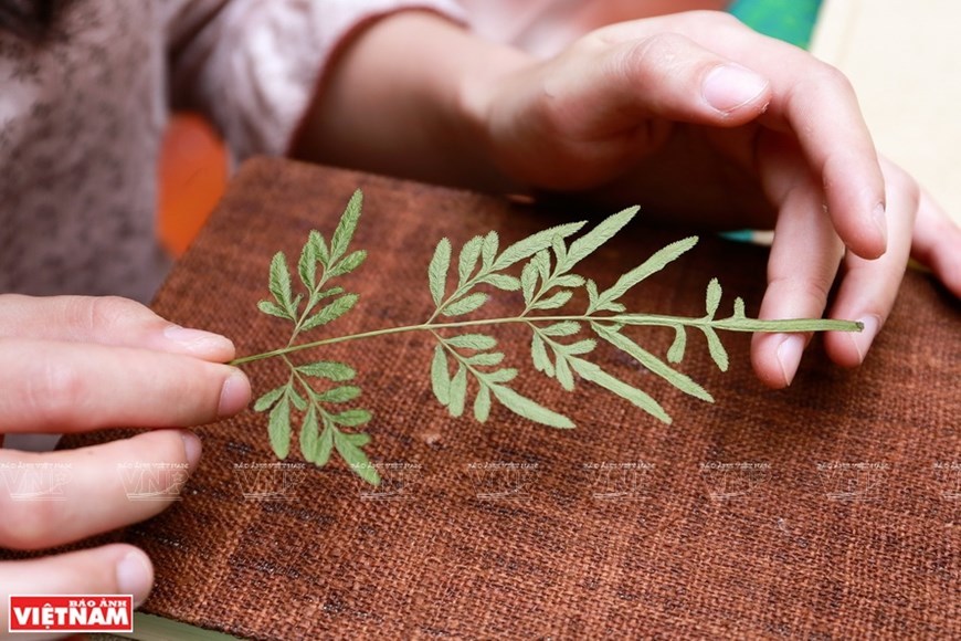 Vietnamese nature pressed in books