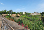 Zero-waste communities emerge in Hoi An