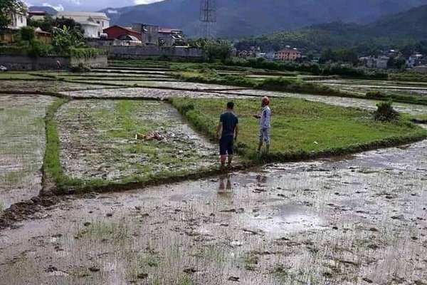 Triệu tập thêm nhiều nghi can trong vụ chém chết hai vợ chồng chủ nợ ở Điện Biên