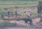 Triều Tiên liên tiếp đưa quân tới biên giới giáp Hàn Quốc