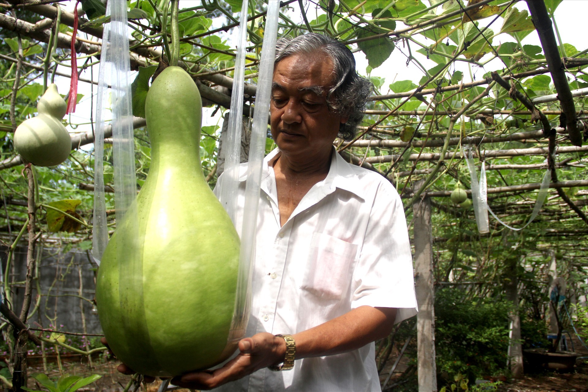 'Mắt bão' có 1 không 2, 'Vạn hoa lầu' số 1 Việt Nam xôn xao dân chơi Bau-khong-lo-01