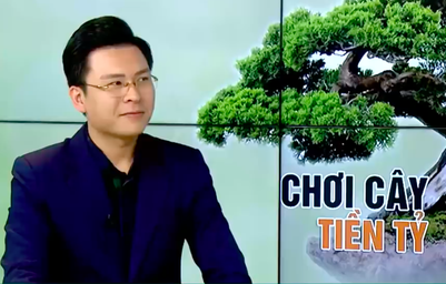 Thú chơi cây cảnh tiền tỷ hay sự xa hoa của người Việt?