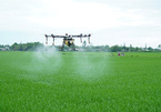 Drones used in rice farming in central Vietnam