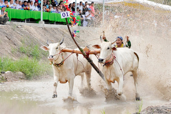 An Giang launches new tourism campaign