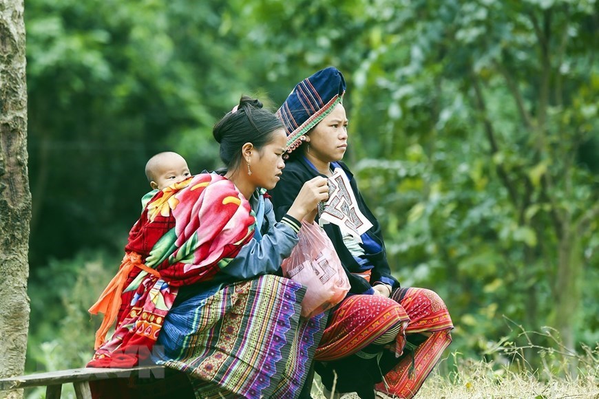 Breathtaking beauty of Vietnam's Northwestern region